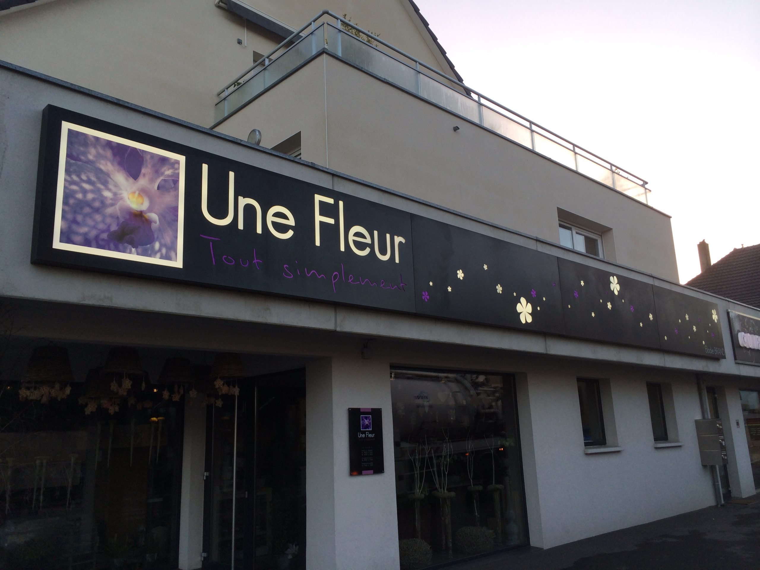IMG_0656 une fleur caisson